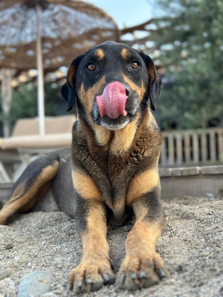 Verde Blu Bungalow Otel-25