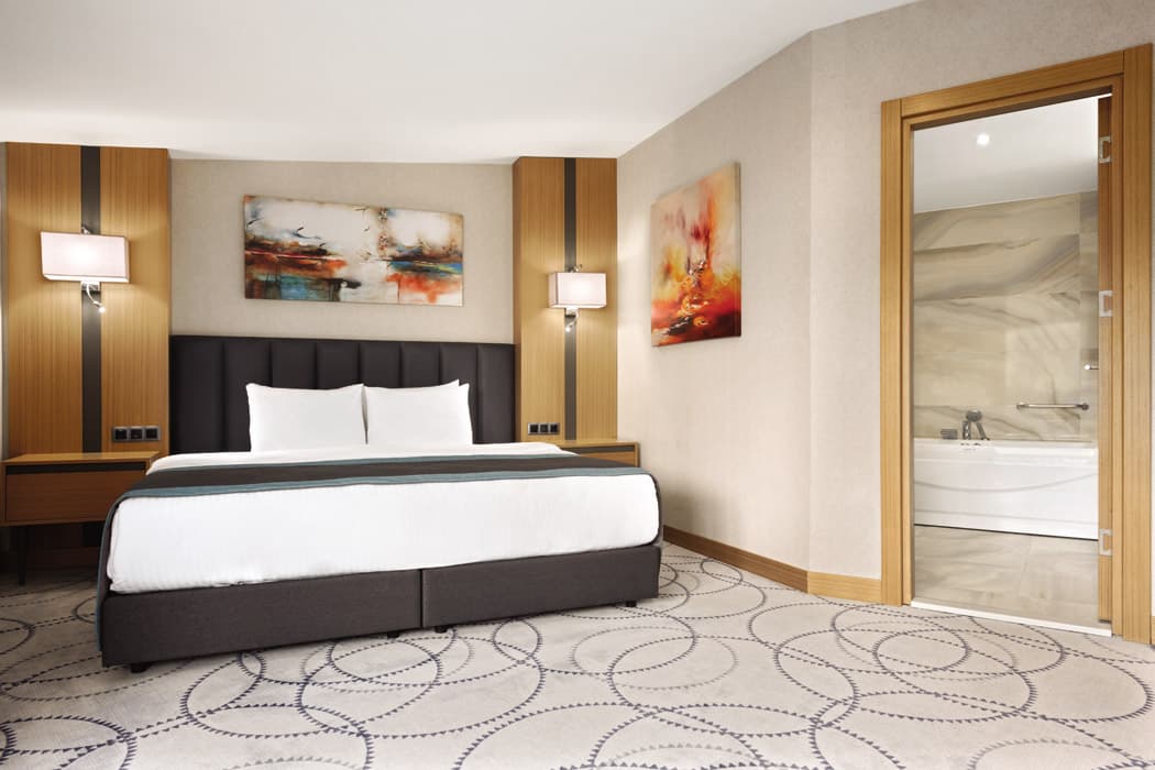 Ramada by Wyndham Bursa Nilüfer-9