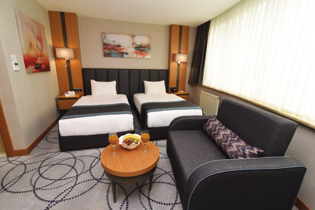 Ramada by Wyndham Bursa Nilüfer-19