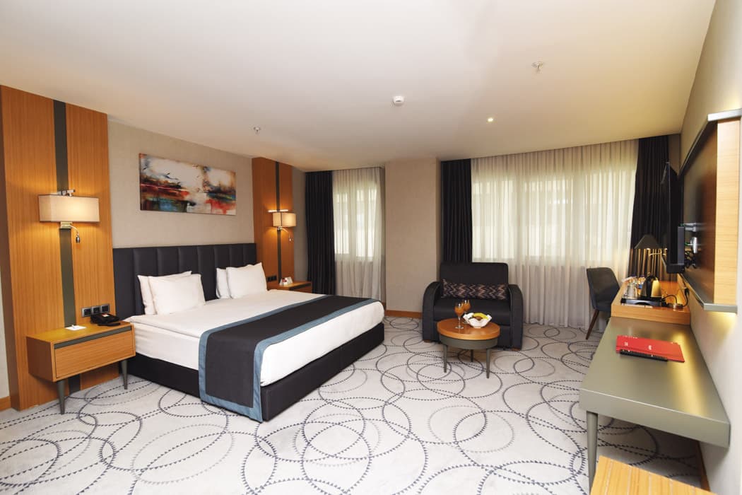 Ramada by Wyndham Bursa Nilüfer-1