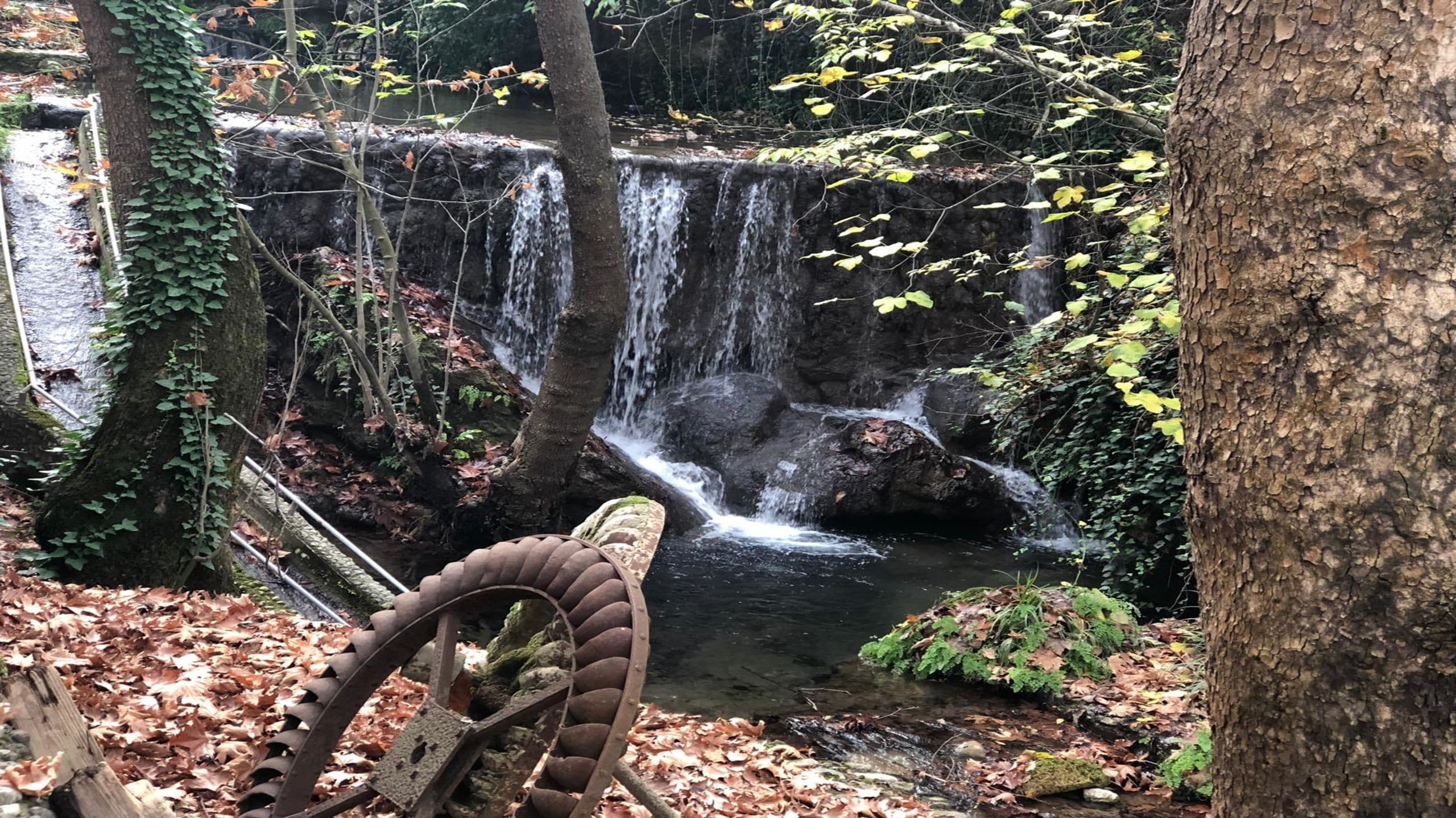 Eman Termal Hotel-49