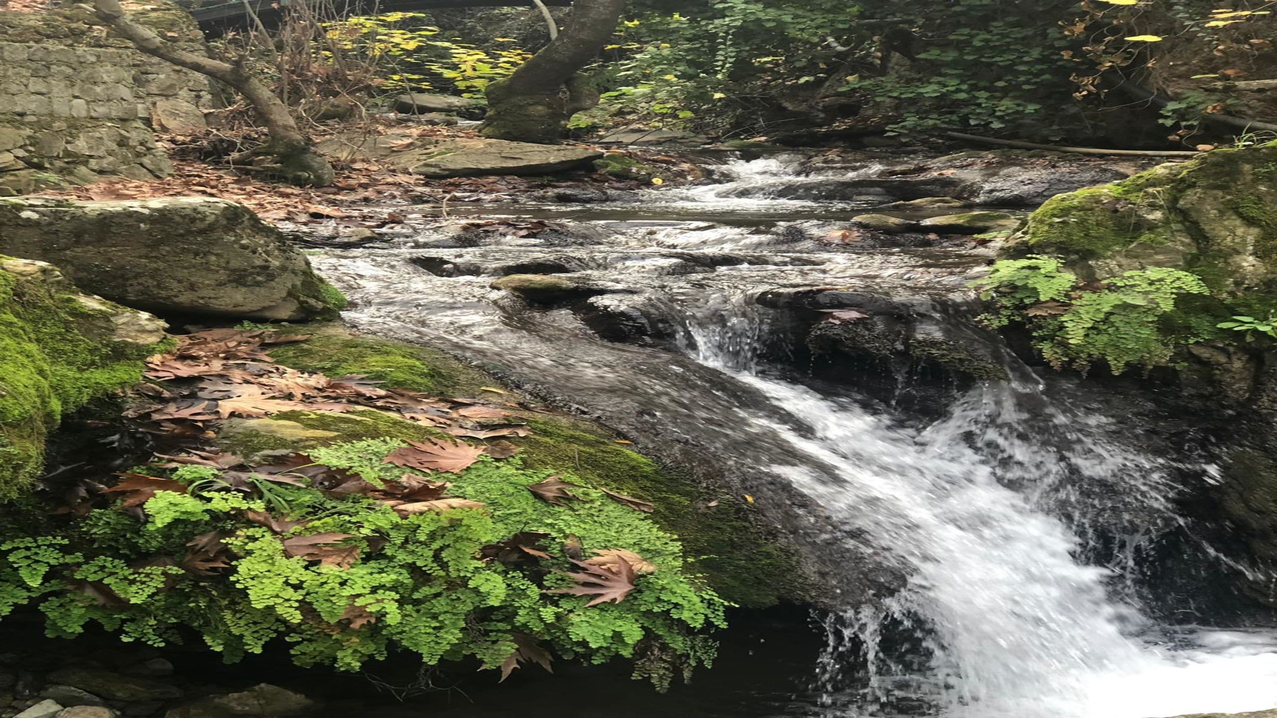 Eman Termal Hotel-43