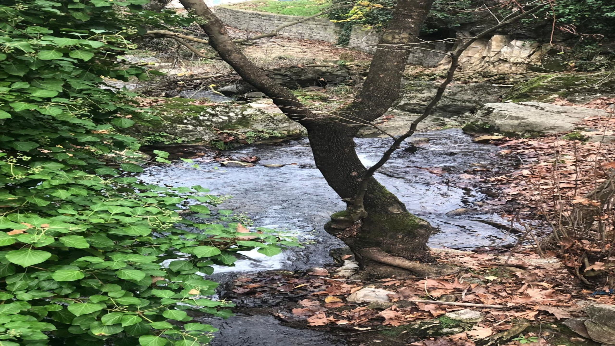 Eman Termal Hotel-46