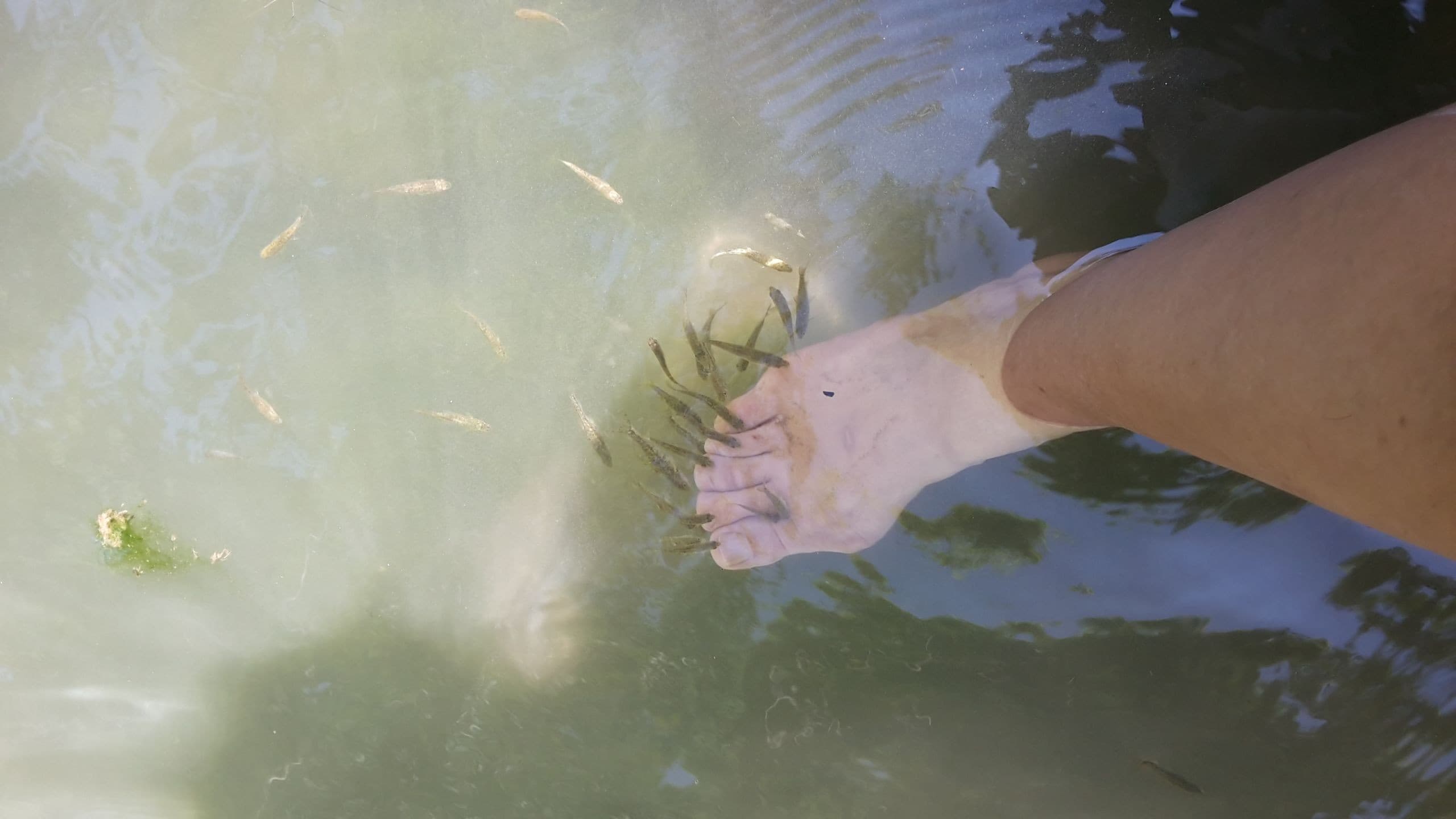 Eman Termal Hotel-50