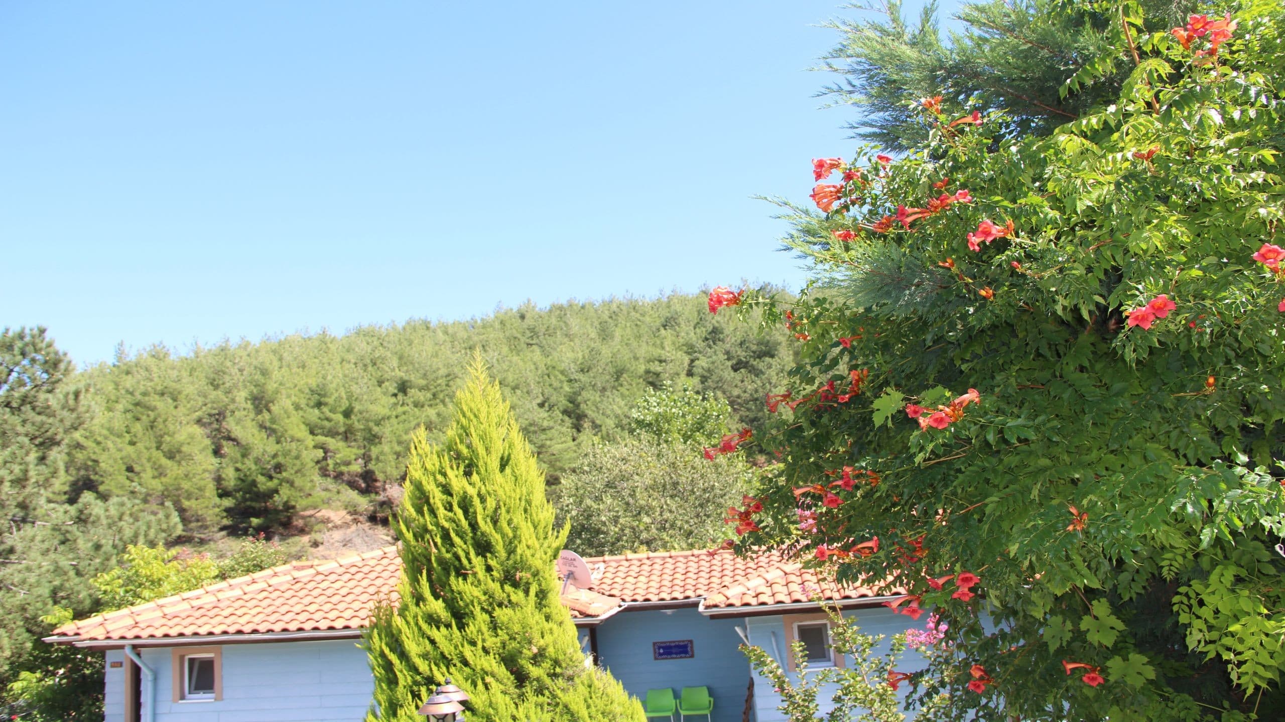 Eman Termal Hotel-48