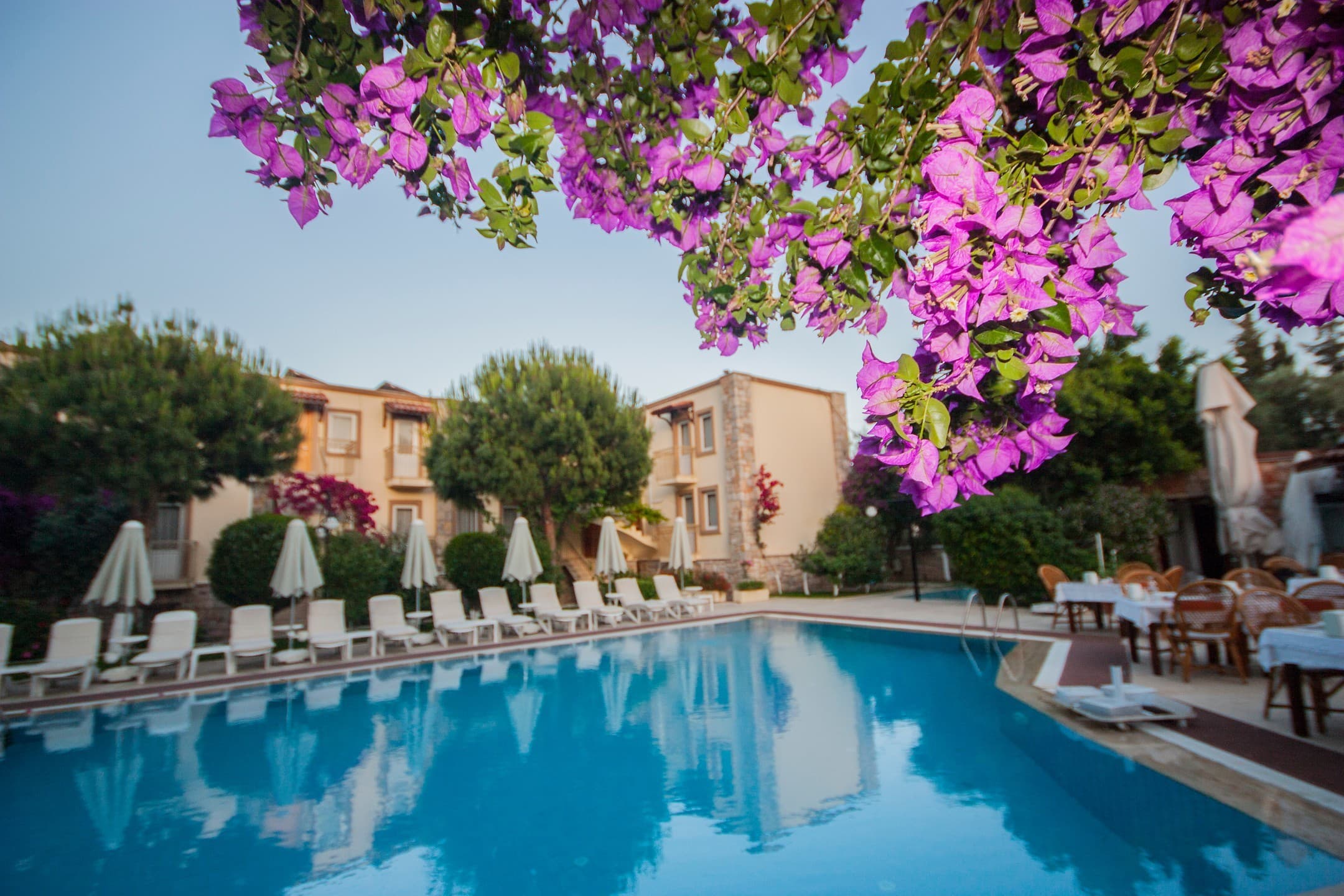 Moonshine Hotel Suites-13