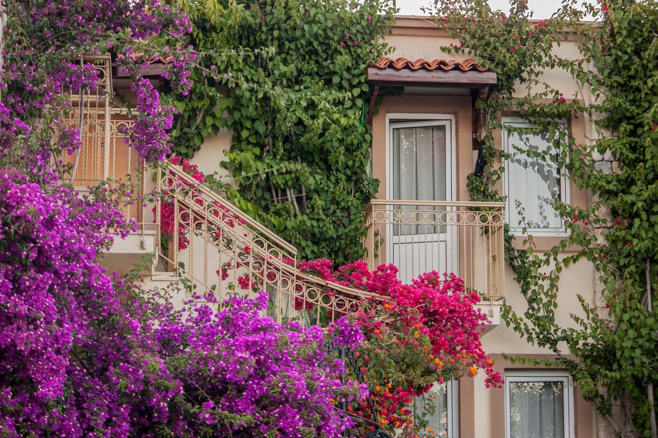 Moonshine Hotel Suites-9