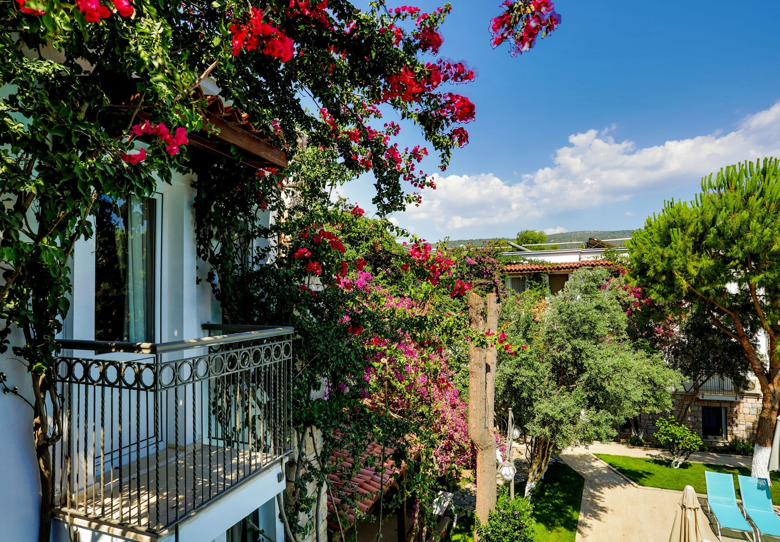 Moonshine Hotel Suites-53