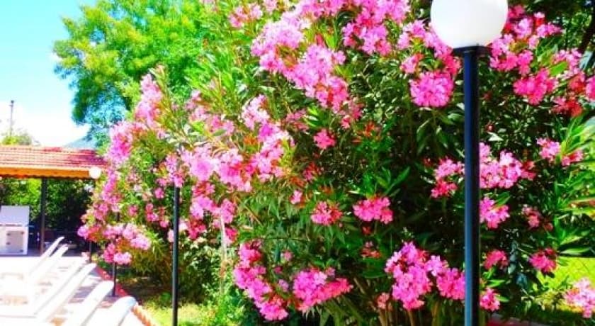 The Green Valley Hotel-30