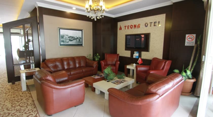 Teona Otel-17