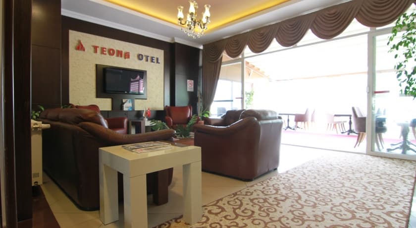 Teona Otel-16