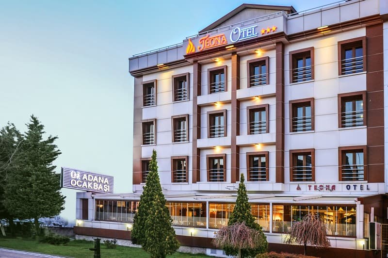 Teona Otel-6