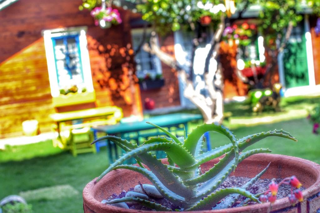 Pırlanta Butik Hotel Çeşme-62