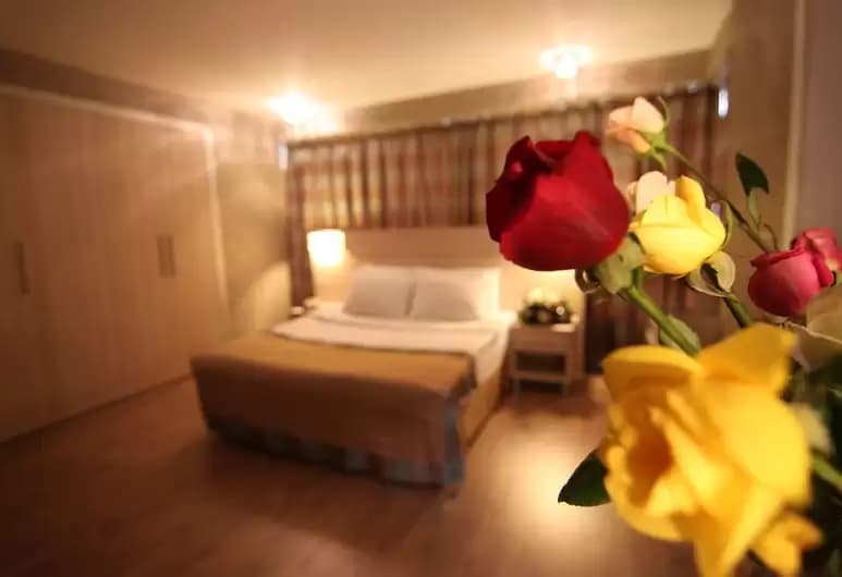 Ramada by Wyndham Ankara-11