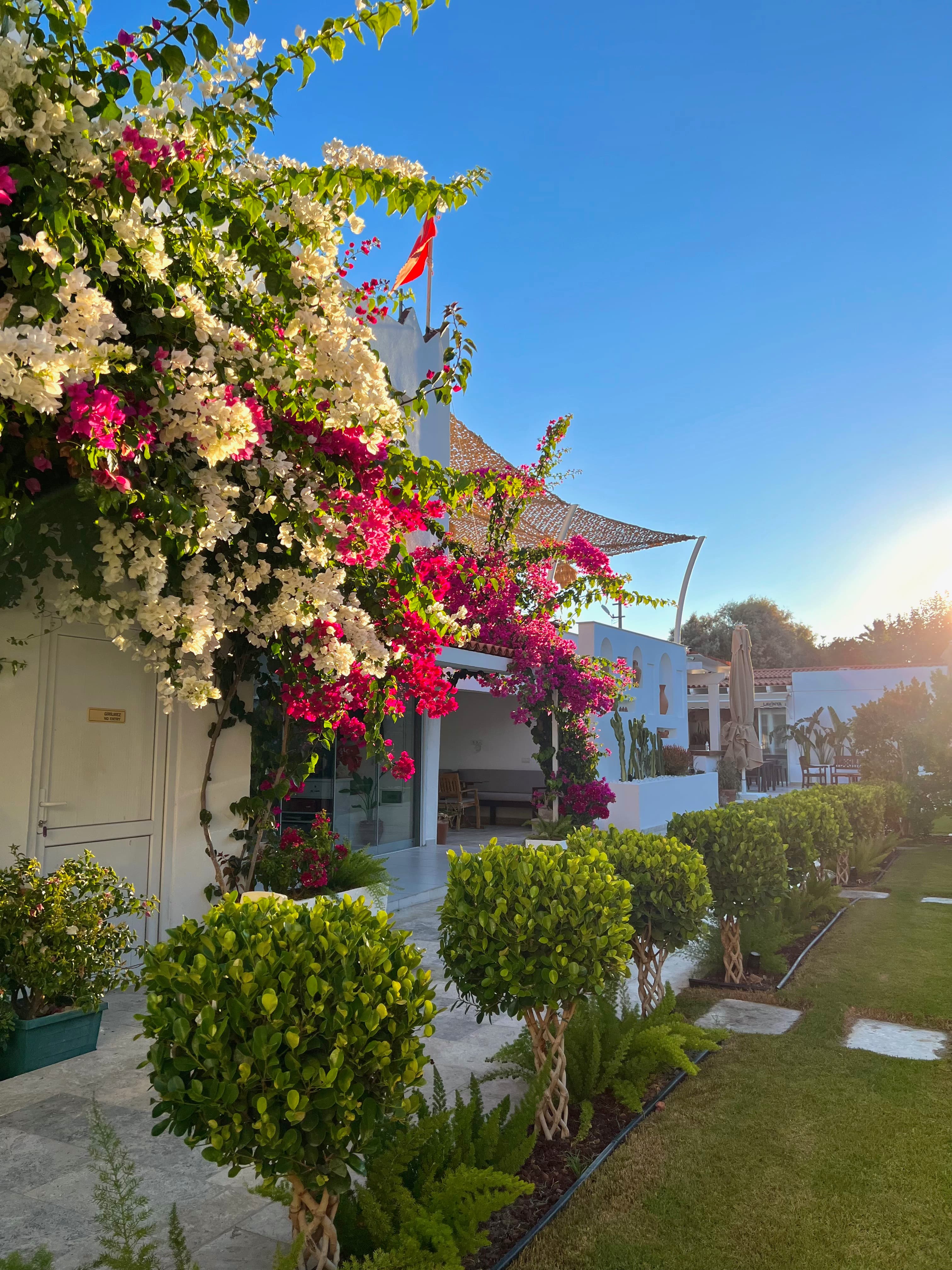 Lavinya Otel Göltürkbükü-resim-5