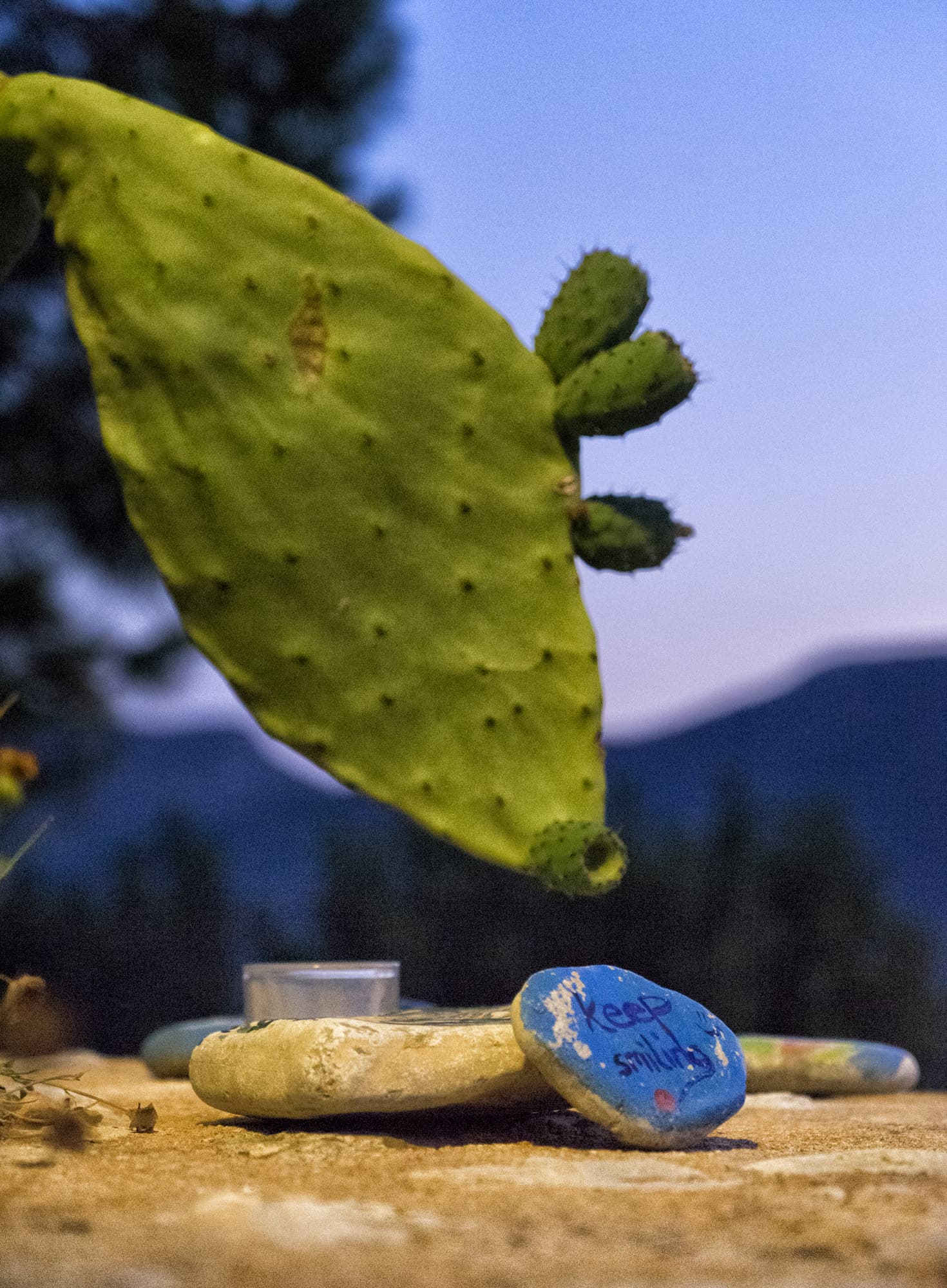 Şato Triopia Butik Otel Datça-44