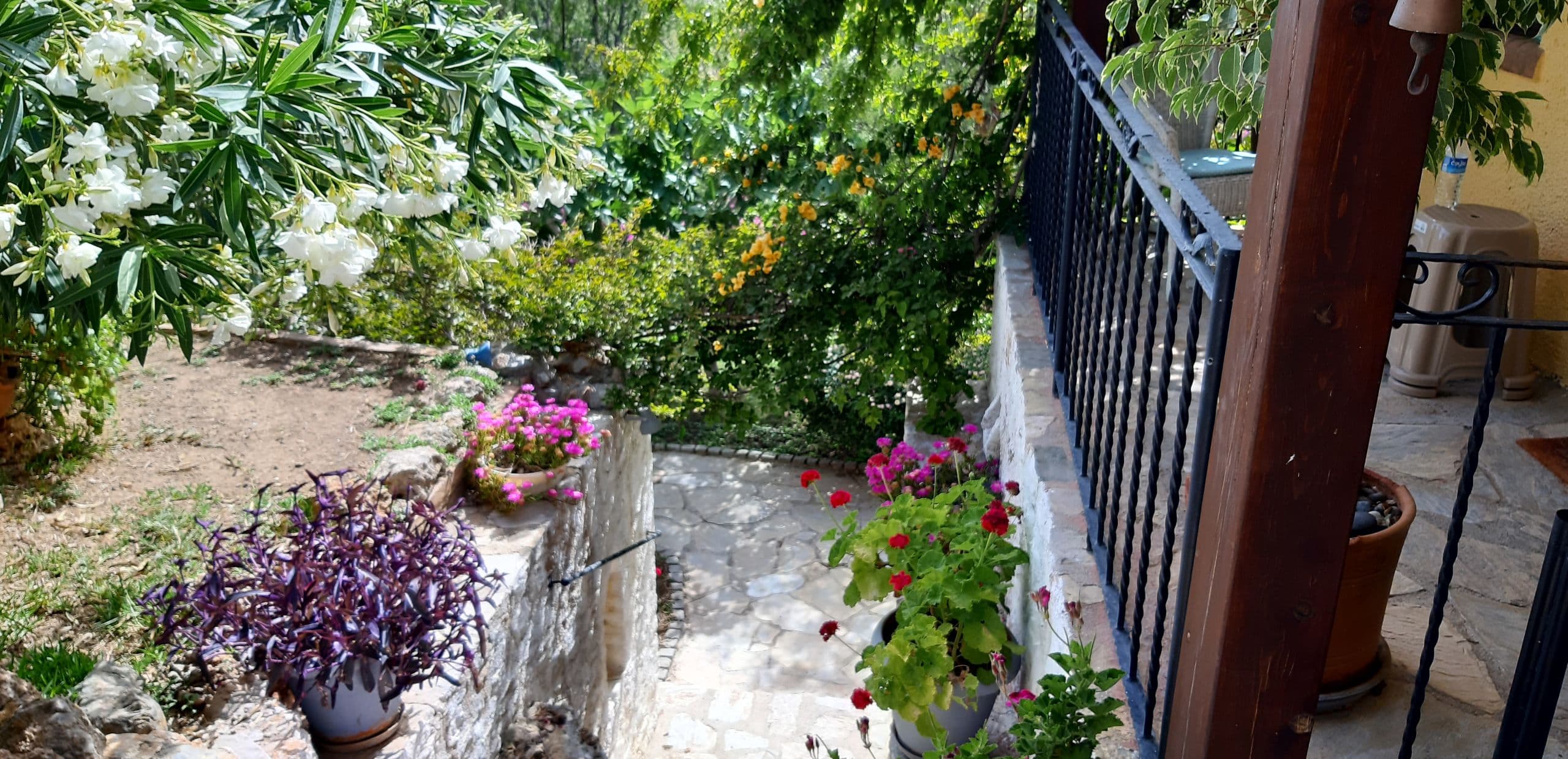 Şato Triopia Butik Otel Datça-68