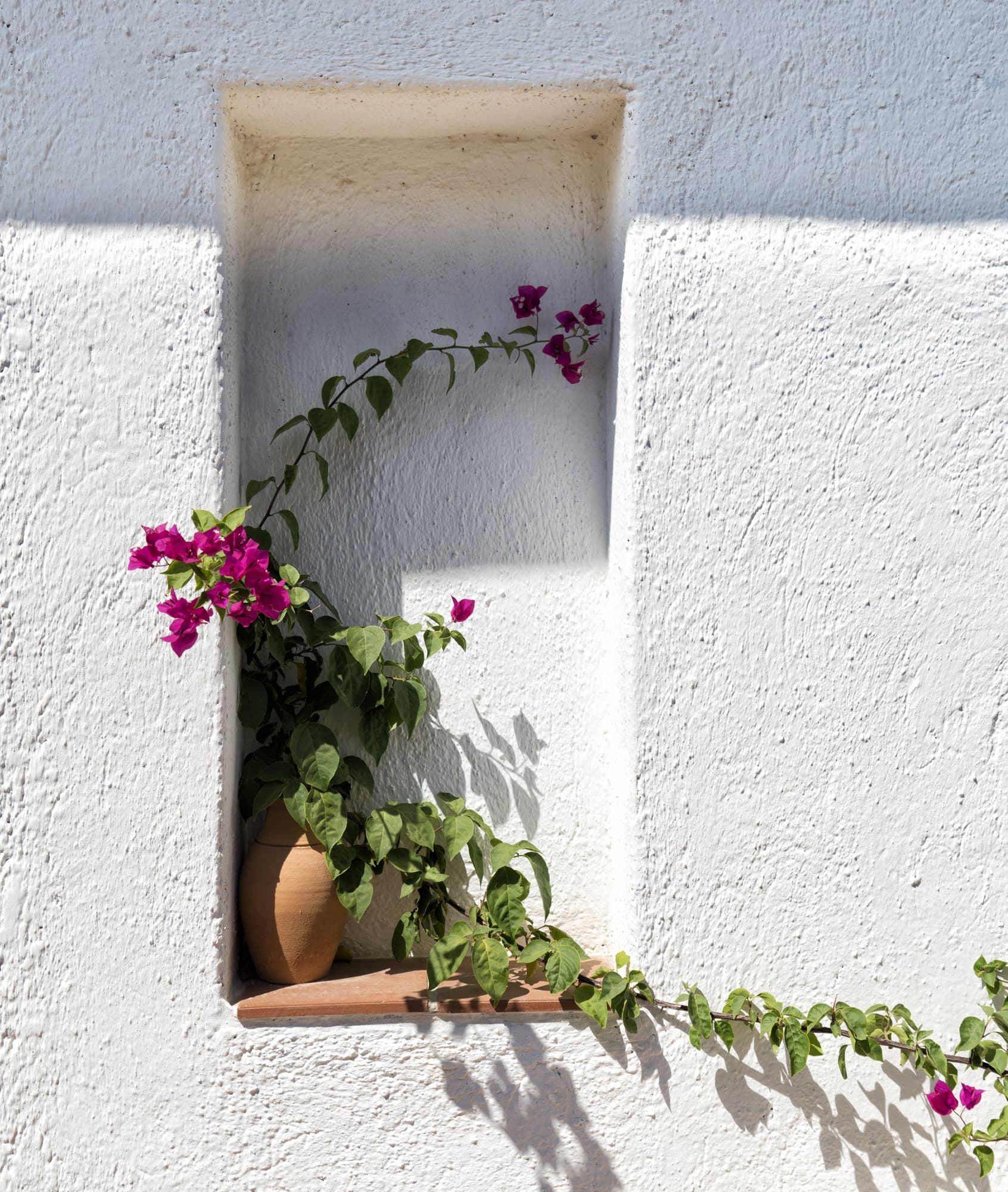 Şato Triopia Butik Otel Datça-38