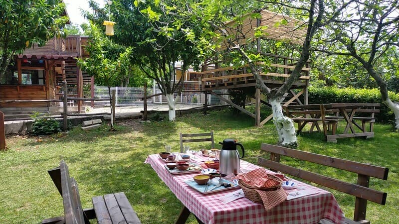 Safran Doğal Yaşam Köyü & Bungalow-3