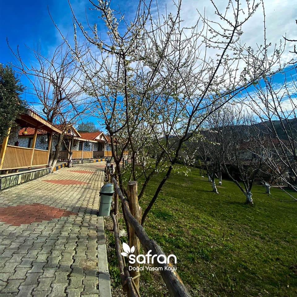 Safran Doğal Yaşam Köyü & Bungalow-12