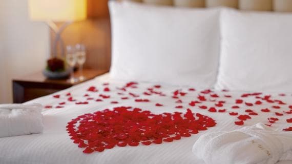 Superior İkiz Yataklı 3