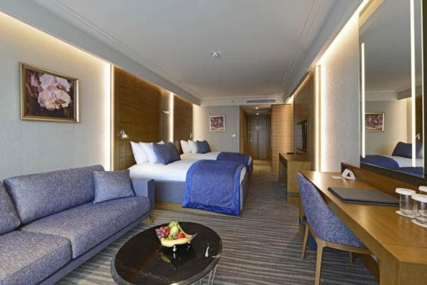 Superior Room French Bed 3