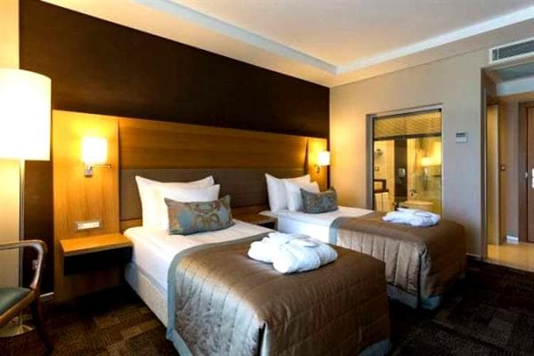 Bahçe Manzaralı Standart Oda  1