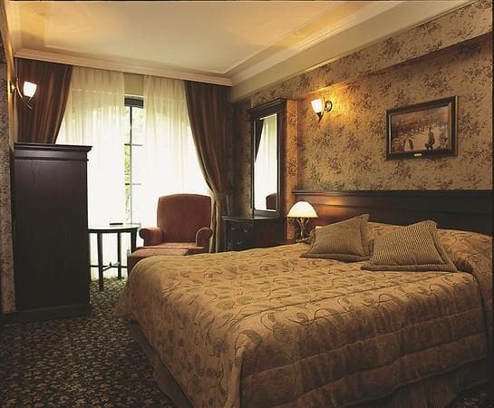 Park Manzaralı Deluxe Oda 1