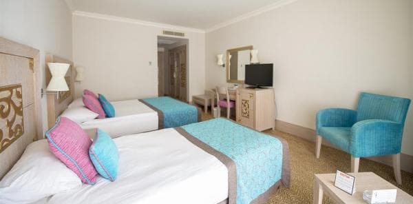 Kara Manzaralı Standart Oda 3