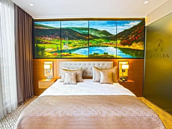 Deluxe Oda (Şehir Manzaralı) 2