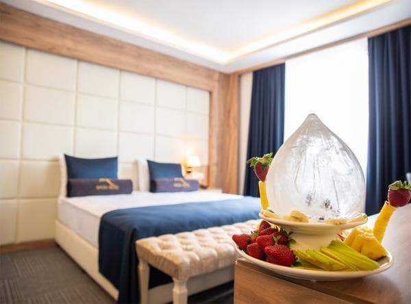 Standart Şehir Manzaralı Oda 1