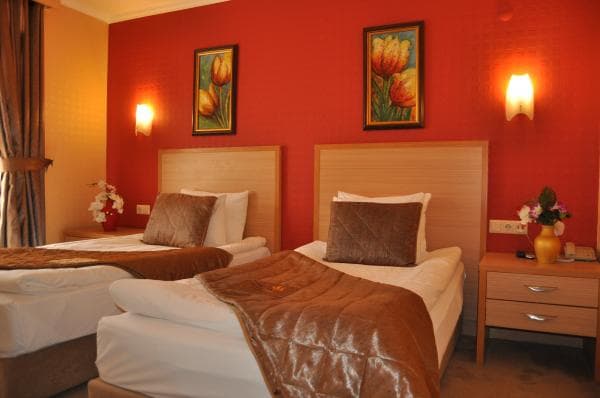 Standart Double Oda 1