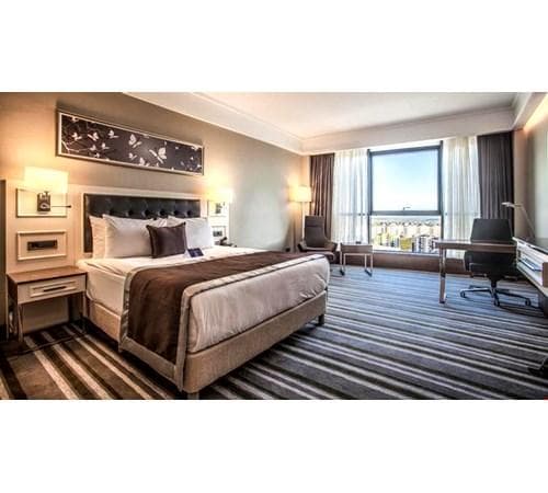 Standard Room (Base) 1