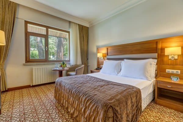 Standart Oda Orman Manzaralı 3