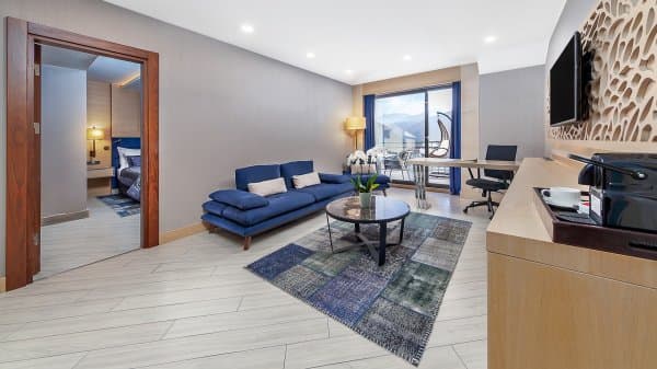 Executive Şehir Manzaralı Oda 2