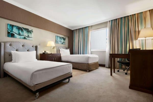 Executive Room - Twin 2