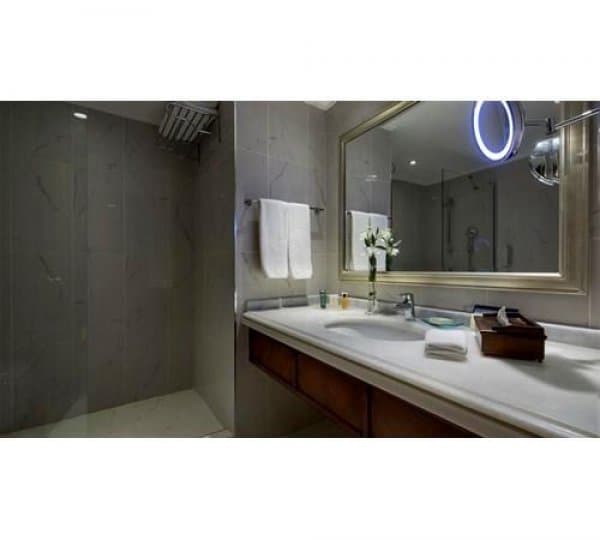 Executive King Suit with Terrace 4