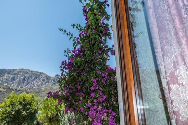 Standart Dağ Manzaralı Oda 4