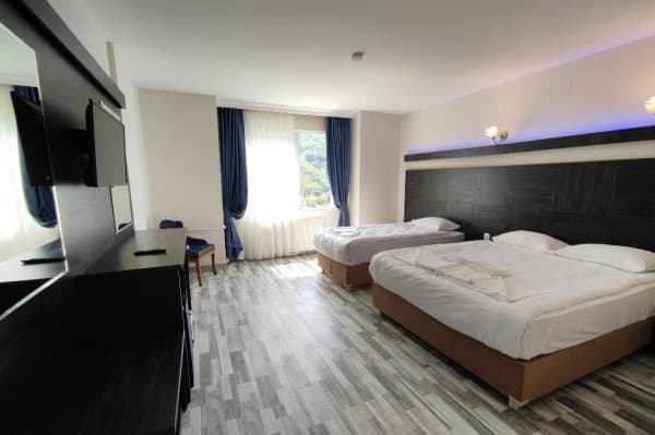 Dağ Manzaralı 2 Kişilik Oda 2