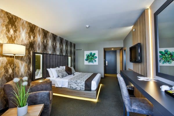 Standart Oda (Şehir ve Dağ Manzaralı) 2