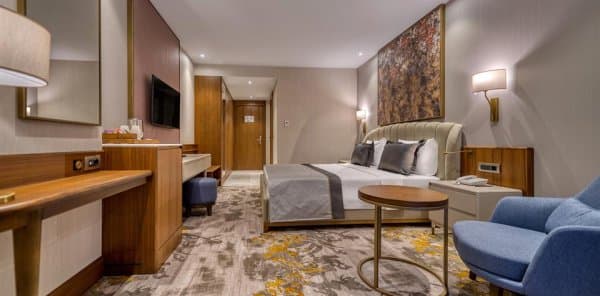 Deluxe Oda Dağ Manzaralı 2