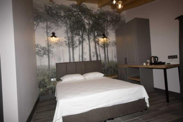 Standart Twin Balkonsuz Oda 2