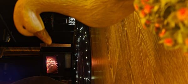 Jakuzili Chalet Suit Şömineli, Balkonlu ,Mutfak ve Sinema Perdeli	 4