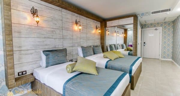 French + Single Oda 1