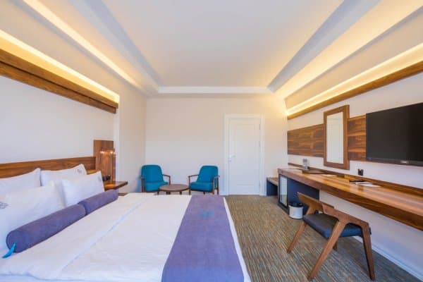 Executive Suit Room 2