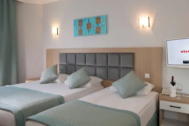 Standart Kara Manzaralı Oda 1