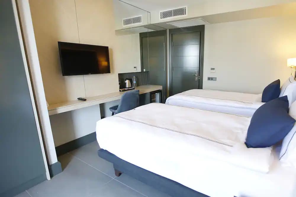 Twin Room, Şehir Manzaralı, Fransız Balkonlu 4