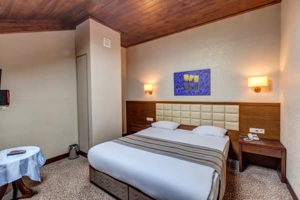 Orman Manzaralı Dubleks Oda 2