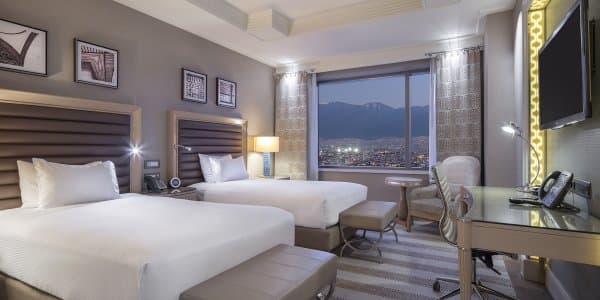 Twin Executive Room	 1