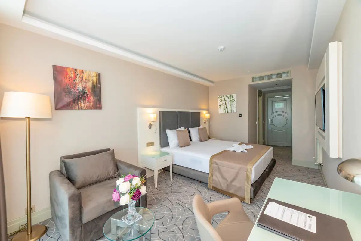 Superior Single  Room 1